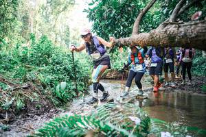 BIB: 
                            <button type="button" onclick="openModal(25478456)" class="btn btn-primary btn-sm float-right btn-popup" data-toggle="modal" data-target=".modal-high-quality">
                        <i class="fas fa-shopping-cart"></i> Add to Cart
                    </button>
                                            <button type="button" onclick="isThisMe(25478456, true)" class="btn btn-success btn-sm float-right btn-popup btn-isme hidden" data-toggle="tooltip" data-placement="bottom" title="นี่คือรูปของคุณใช่ไหม คลิกที่นี่เพื่อเอาเข้าอัลบั้ม">
                        <i class="fas fa-plus"></i> Add to album
                    </button>
                    <button type="button" onclick="isThisMe(25478456, false)" class="btn btn-warning btn-sm float-right btn-popup btn-isnotme hidden">
                        <i class="fas fa-ban"></i> Remove from album
                    </button>